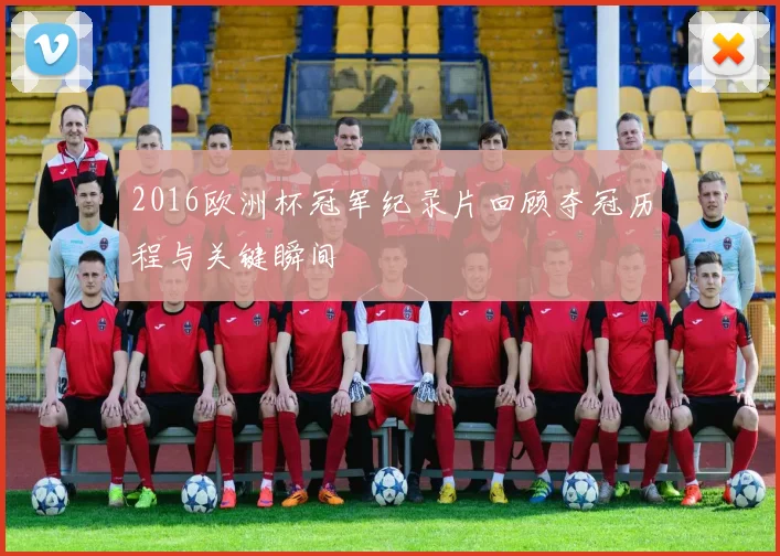 2016欧洲杯冠军纪录片回顾夺冠历程与关键瞬间