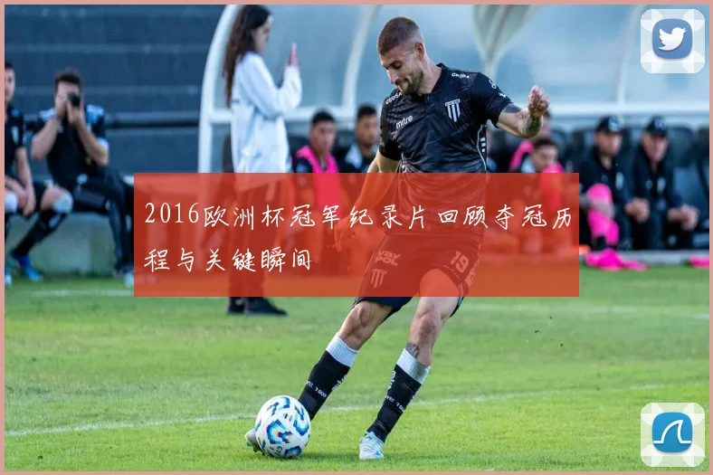 2016欧洲杯冠军纪录片回顾夺冠历程与关键瞬间