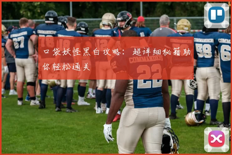 口袋妖怪黑白攻略：超详细秘籍助你轻松通关