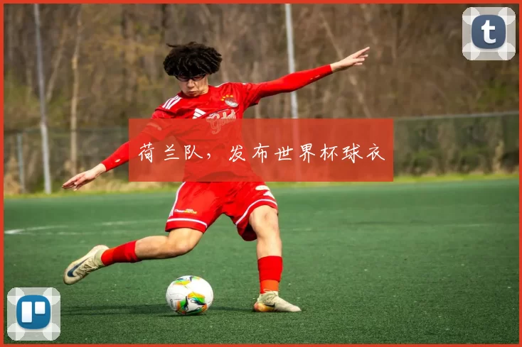 荷兰队，发布世界杯球衣