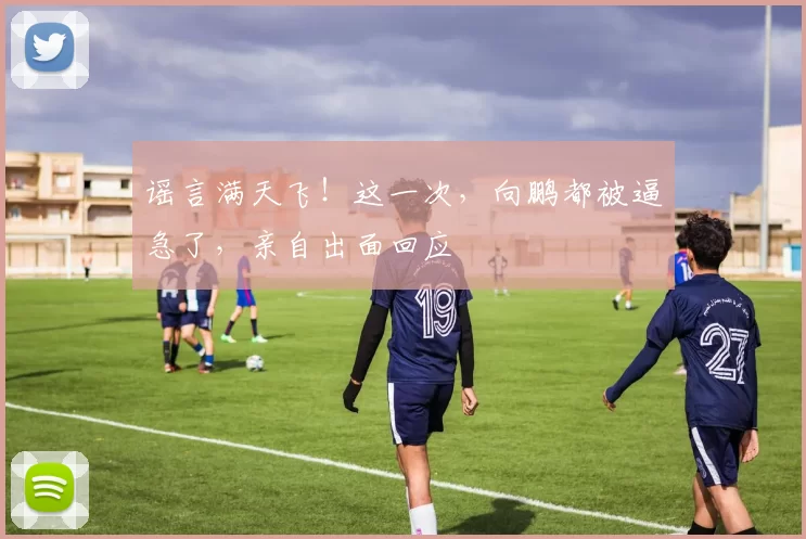 谣言满天飞!这一次,向鹏都被逼急了,亲自出面回应