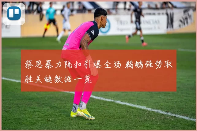 蔡恩暴力隔扣引爆全场 鹈鹕强势取胜关键数据一览
