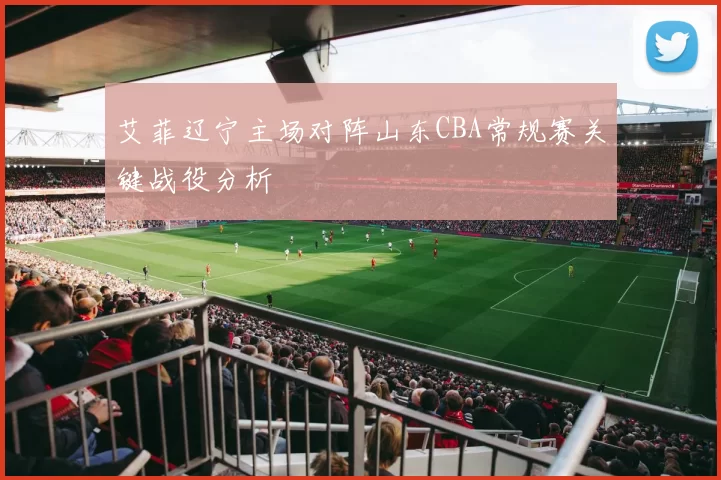 艾菲辽宁主场对阵山东CBA常规赛关键战役分析