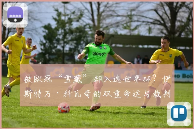 被欧冠“雪藏”却入选世界杯？伊斯特万·科瓦奇的双重命运与裁判体系的裂痕