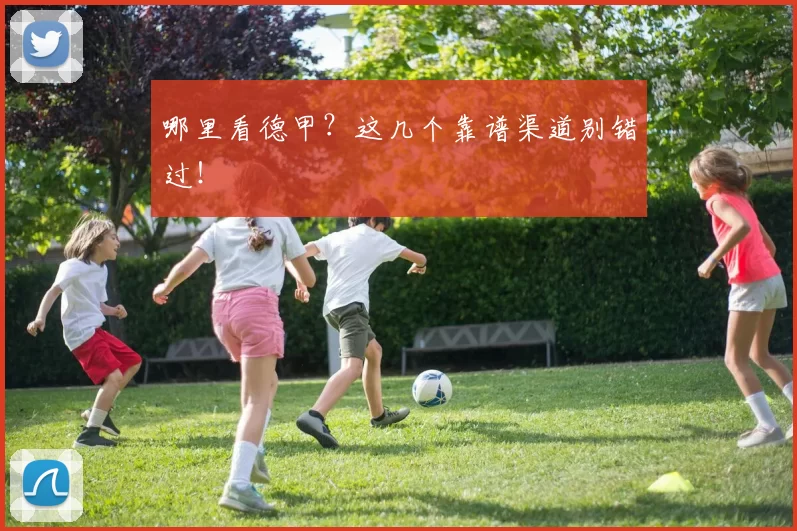 哪里看德甲？这几个靠谱渠道别错过！