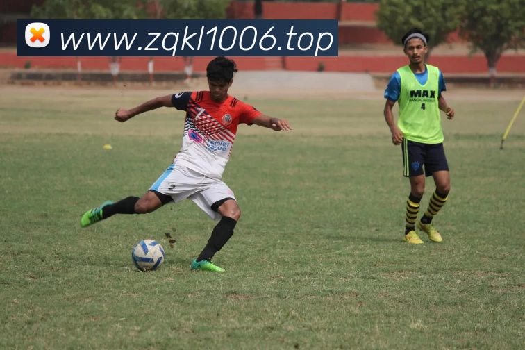 开云(Kaiyun) - 中国官方服务平台服务体系